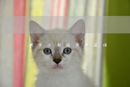 快贷逾期信用卡冻结 快贷逾期信用卡冻结