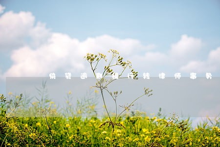 快贷逾期银行转律师事务所