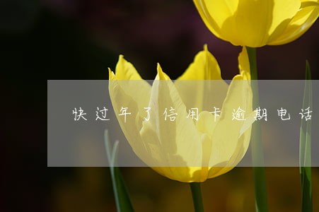 快过年了信用卡逾期电话 快过年了信用卡逾期电话
