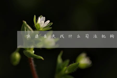 快递丢失找什么司法机构