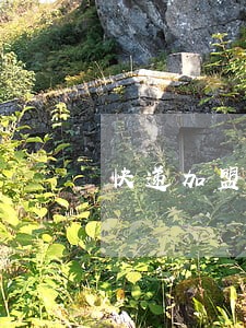 快递加盟费多少钱 快递加盟费多少钱