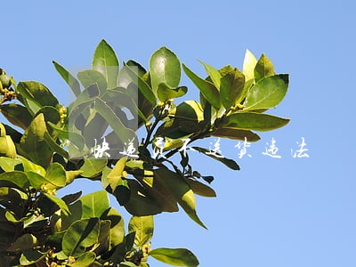 快递员不送货违法 快递员不送货违法