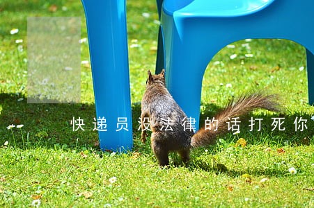 快递员没法律的话打死你