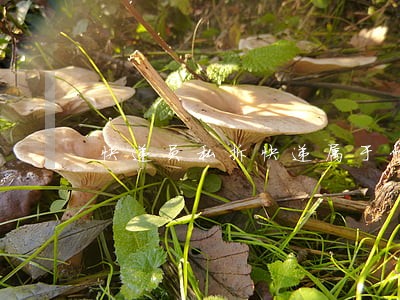 快递员私拆快递属于什么违法 快递员私拆快递属于什么违法
