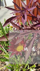 快递寄多少香烟算违法 快递寄多少香烟算违法