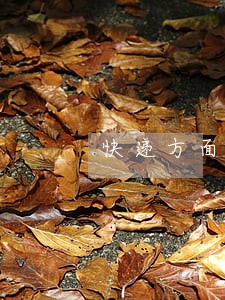 快递方面免费律师咨询 快递方面免费律师咨询