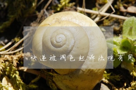 快递被调包起诉法院有用吗 快递被调包起诉法院有用吗