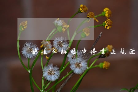 快递车辆临时停靠法规政策 快递车辆临时停靠法规政策