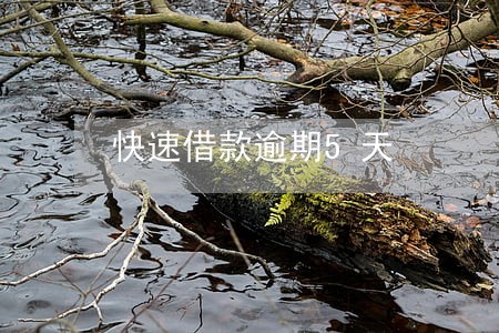 快速借款逾期5天 快速借款逾期5天