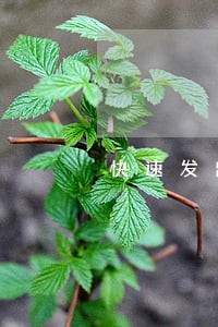 快速发出公益诉讼检察建议 快速发出公益诉讼检察建议