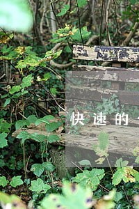快速的公司法律咨询价格 快速的公司法律咨询价格