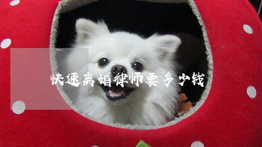 快速离婚律师要多少钱