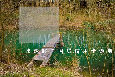 快速解决网贷信用卡逾期是真的 快速解决网贷信用卡逾期是真的