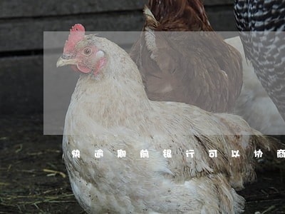 快逾期前银行可以协商停息吗 快逾期前银行可以协商停息吗