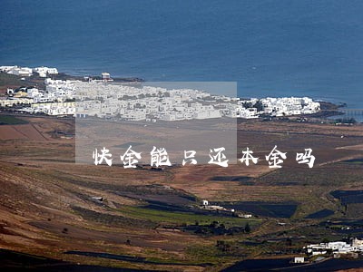 快金能只还本金吗 快金能只还本金吗