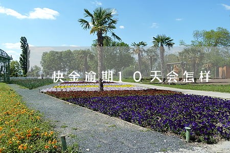 快金逾期10天会怎样 快金逾期10天会怎样