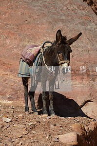 快钱钱包逾期150天 快钱钱包逾期150天