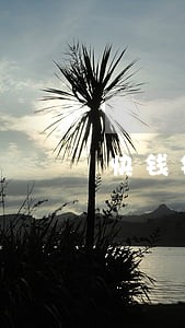 快钱钱包逾期15天 快钱钱包逾期15天
