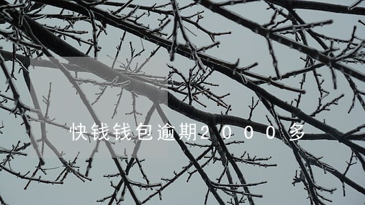 快钱钱包逾期2000多 快钱钱包逾期2000多