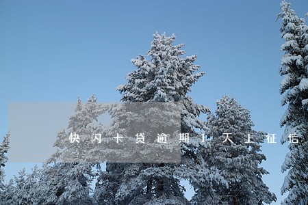 快闪卡贷逾期1天上征信吗 快闪卡贷逾期1天上征信吗