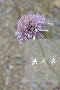 快闪卡贷逾期31天 快闪卡贷逾期31天