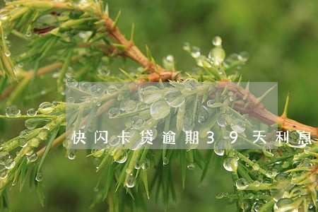 快闪卡贷逾期39天利息多少 快闪卡贷逾期39天利息多少