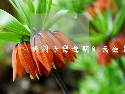 快闪卡贷逾期3天会怎么样