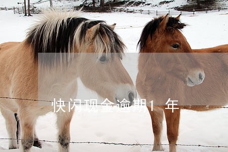 快闪现金逾期1年 快闪现金逾期1年