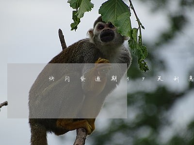 快闪贷逾期39天利息1950元