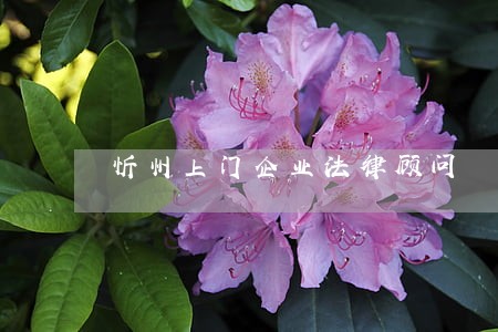 忻州上门企业法律顾问