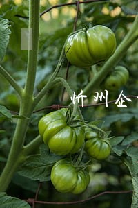 忻州企业法律顾问律师