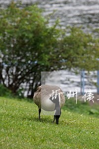 忻州债务债权律师谁家好 忻州债务债权律师谁家好