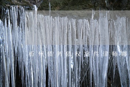 忻州债务债权案件律师哪个好 忻州债务债权案件律师哪个好
