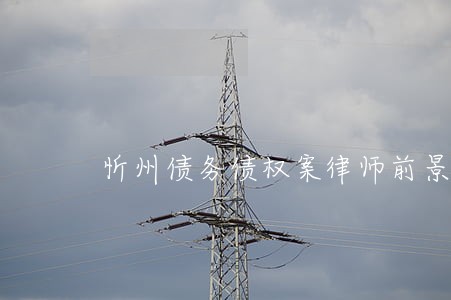忻州债务债权案律师前景 忻州债务债权案律师前景