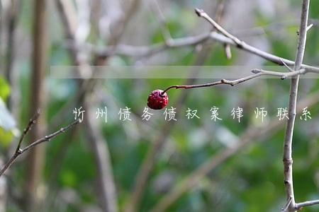 忻州债务债权案律师联系方式 忻州债务债权案律师联系方式