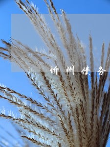 忻州债务债权案律师谁家好 忻州债务债权案律师谁家好