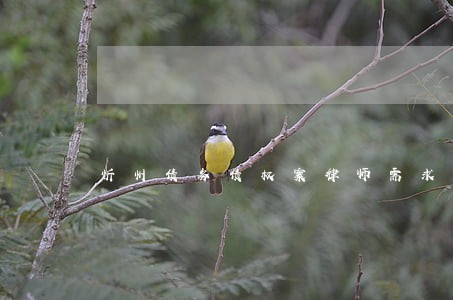 忻州债务债权案律师需求 忻州债务债权案律师需求