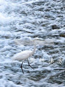 忻州债务律师服务费 忻州债务律师服务费