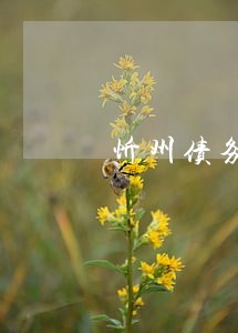 忻州债务清偿律师事务所 忻州债务清偿律师事务所
