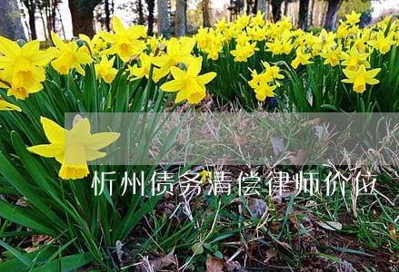 忻州债务清偿律师价位 忻州债务清偿律师价位