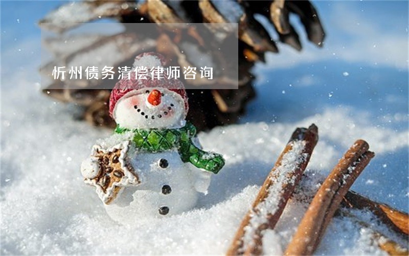 忻州债务清偿律师咨询