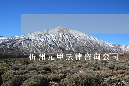 忻州元甲法律咨询公司 忻州元甲法律咨询公司