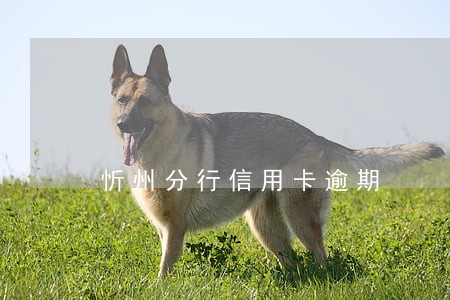 忻州分行信用卡逾期