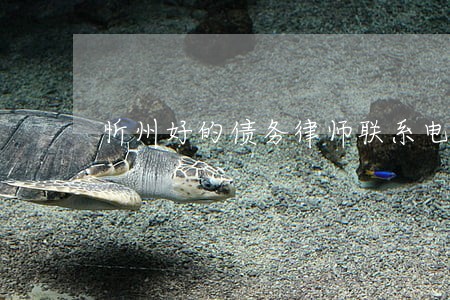 忻州好的债务律师联系电话 忻州好的债务律师联系电话