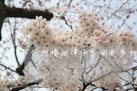 忻州婚姻律师咨询费多少 忻州婚姻律师咨询费多少