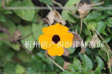 忻州房产纠纷律师咨询 忻州房产纠纷律师咨询