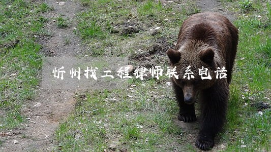 忻州找工程律师联系电话