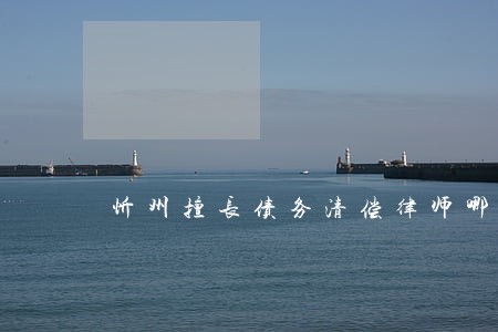 忻州擅长债务清偿律师哪个好 忻州擅长债务清偿律师哪个好