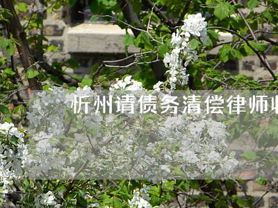 忻州请债务清偿律师收费多少 忻州请债务清偿律师收费多少