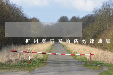 忻州资历深的债务律师顾问 忻州资历深的债务律师顾问